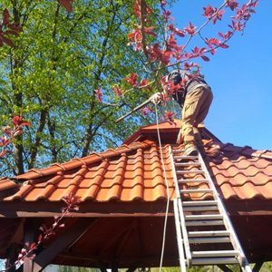 688b46ae49470_1753958062