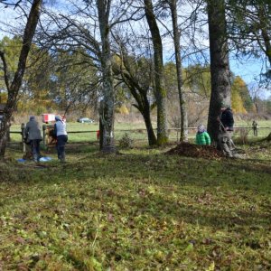 571355997_122217909452093009_7044863667234646524_n