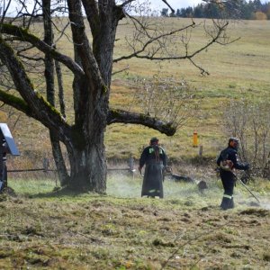 571464637_122217906194093009_5403079209283493888_n