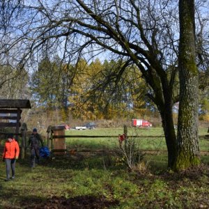 572374601_122217907640093009_2586778938895159336_n