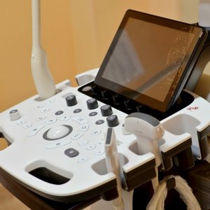 584716250_1317376350426587_7410422238039611211_n