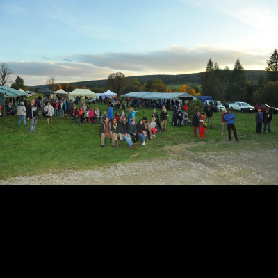 60e22a06431299a6d0c3240909880831