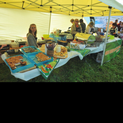 9007313091a6405033105a82c10f25c1