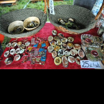 fd383165de6fe32f5542ee7e0f103302