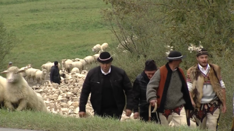 Jesienny redyk w OSŁAWICY