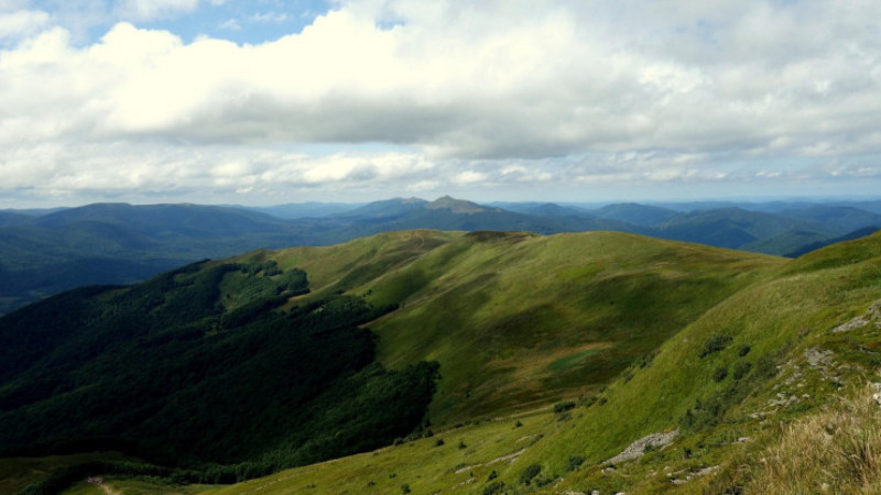 RAPORT Z PRZEPROWADZONYCH KONSULTACJI SPOŁECZNYCH projektu dokumentu pn. Strategia Rozwoju Ponadlokalnego dla Partnerstwa Turystyczne Bieszczady na lata 2025–2030