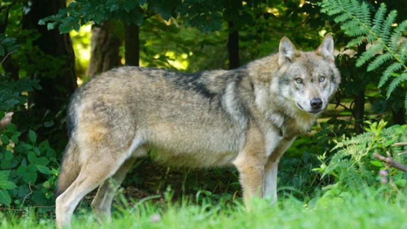 Bezpieczeństwo mieszkańców - przede wszystkim! 