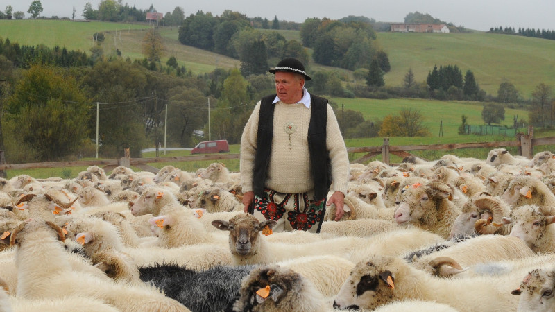 Podkarpacki Osod - SPOTKANIE NA PASERSKIM SZLAKU W OSŁAWICY